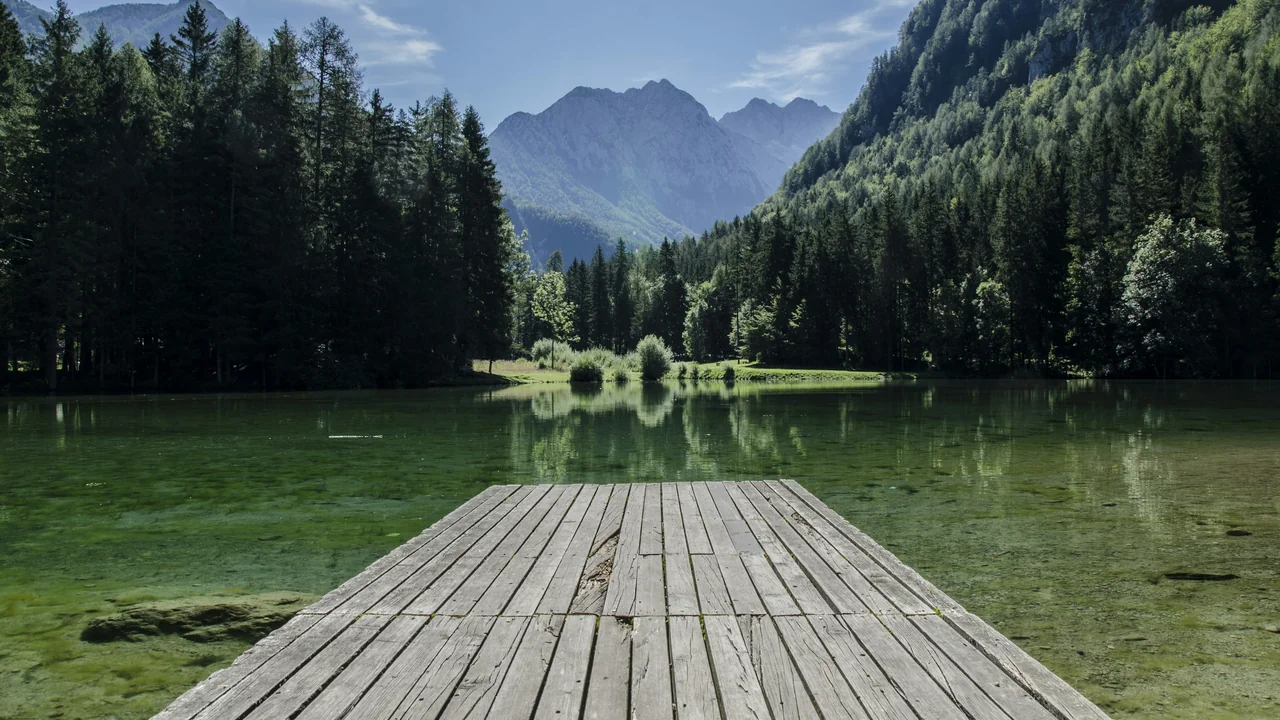 Dock Permit Denied? What to Do Next: Appeals and Alternatives (2026)