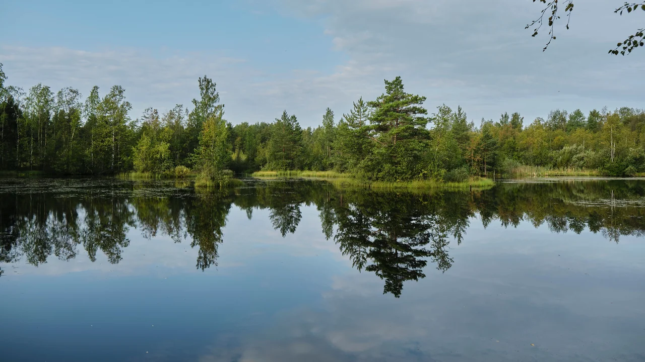Floodplain and Floodway Dock Rules: FEMA Zones Explained (2026)
