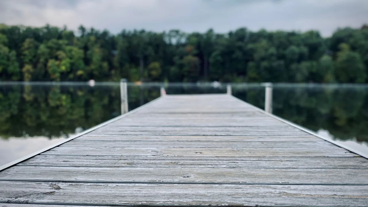 Dock permit wetland area