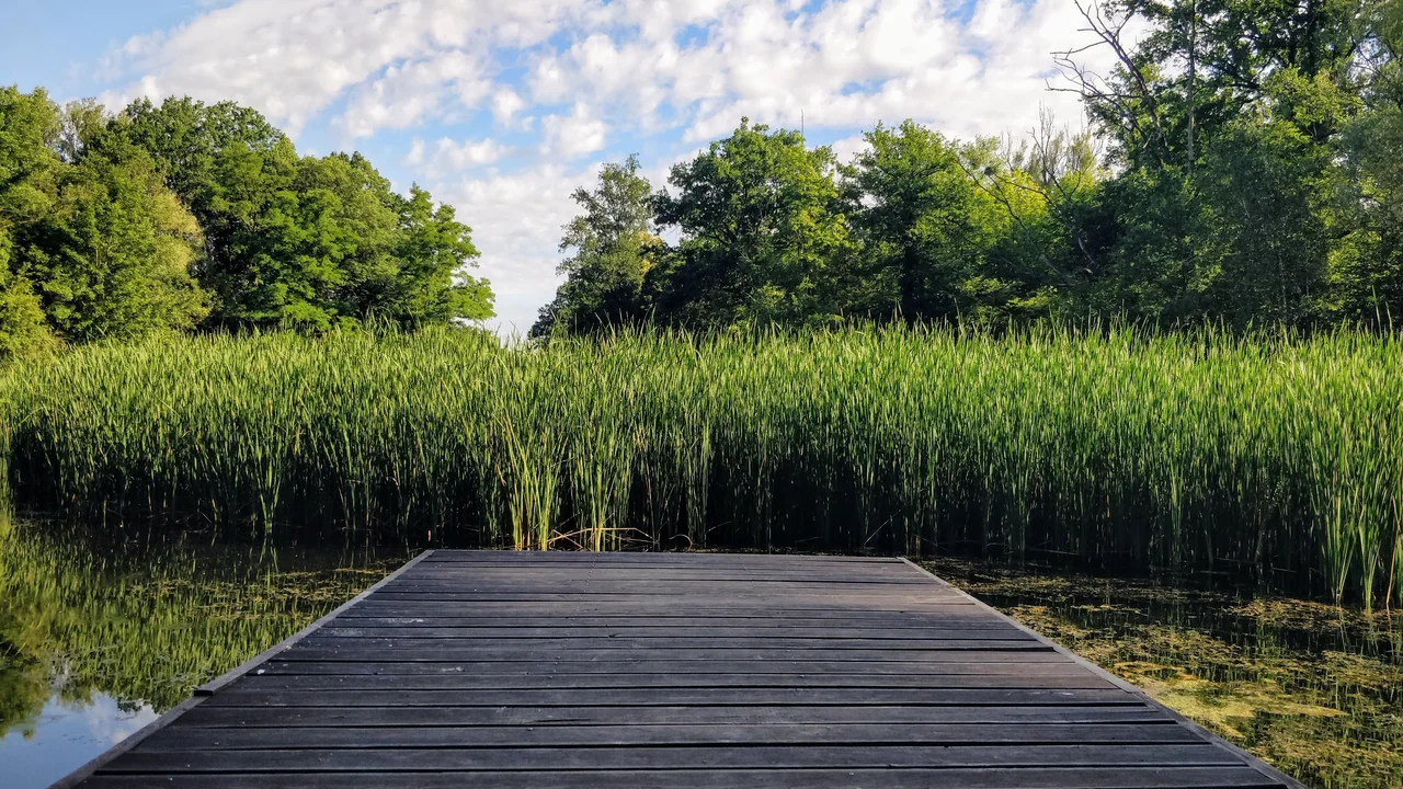 Lake conroe dock permit