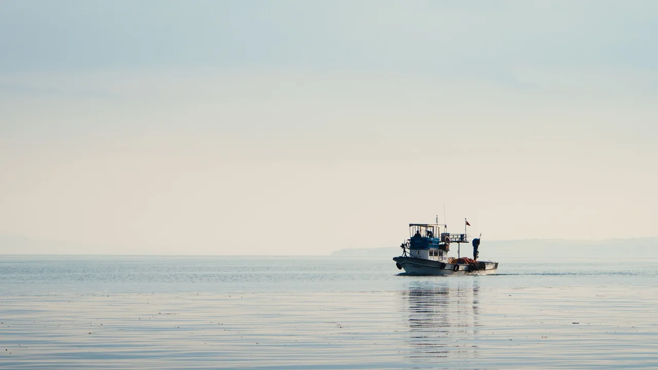Temporary Dock Permit: Rules for Short-Term & Event Docks (2026)